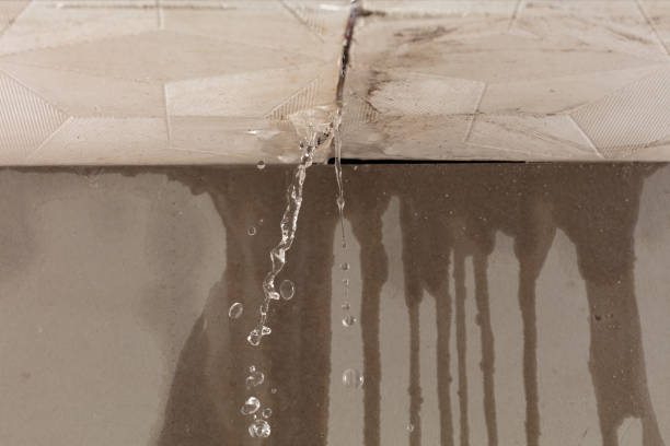 Professional Sewage Cleanup technician working in Sedgwick, KS